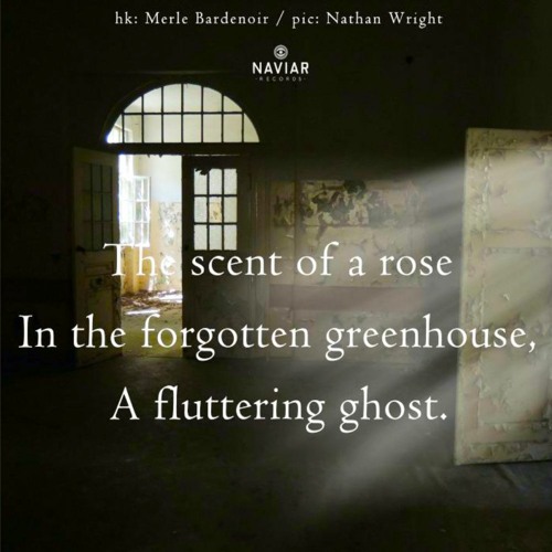 A fluttering ghost [naviarhaiku483]