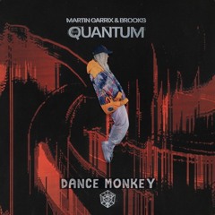 Martin Garrix & Brooks vs Tones and I - Quantum x Dance Monkey (theEDMdragon Mashup)