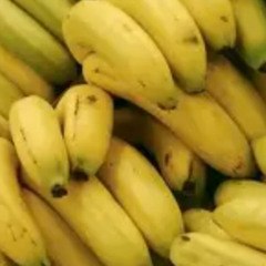 Loretta op de Berg (Waarom altijd over bananen) Freek Banning