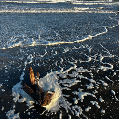 歌の根 言の葉 人の光 demover.