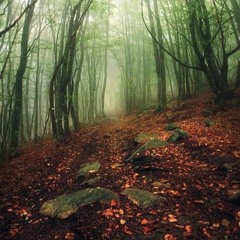 Sea Of Tranquility (MIDI)