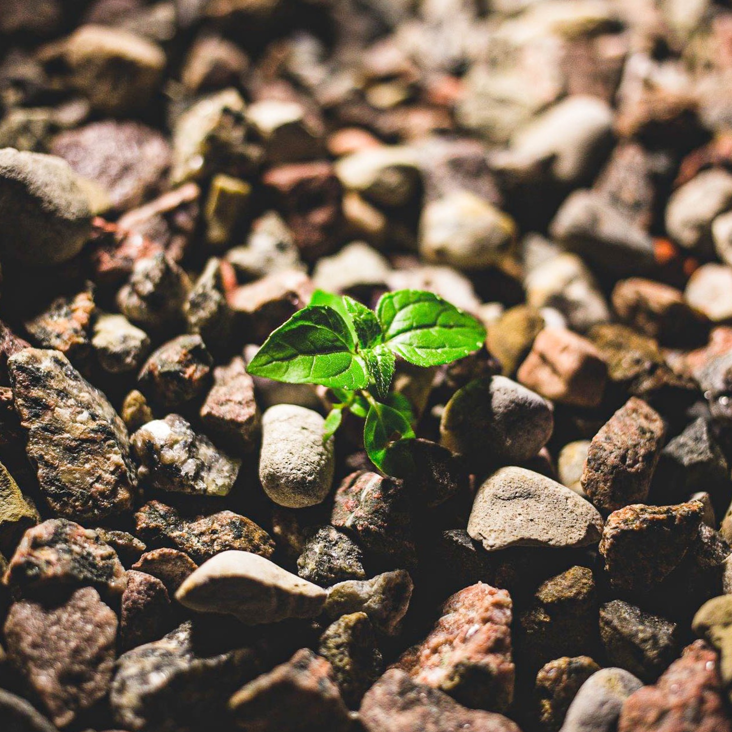 Capturing Christianity Podcast