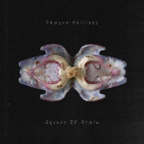 Samson Philipps - Brut (Benedikt Frey Remix)
