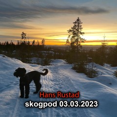 Skogpod 3. Mars, 2023: Sviket i Afghanistan