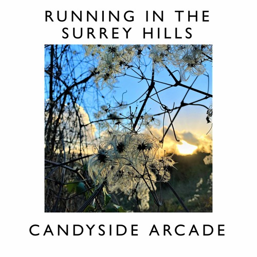 Running In The Surrey Hills