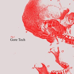 Endorcrine Index - 001 - Gore Tech (DJ Set)