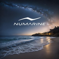 Numarine 2025 The Night Playlist