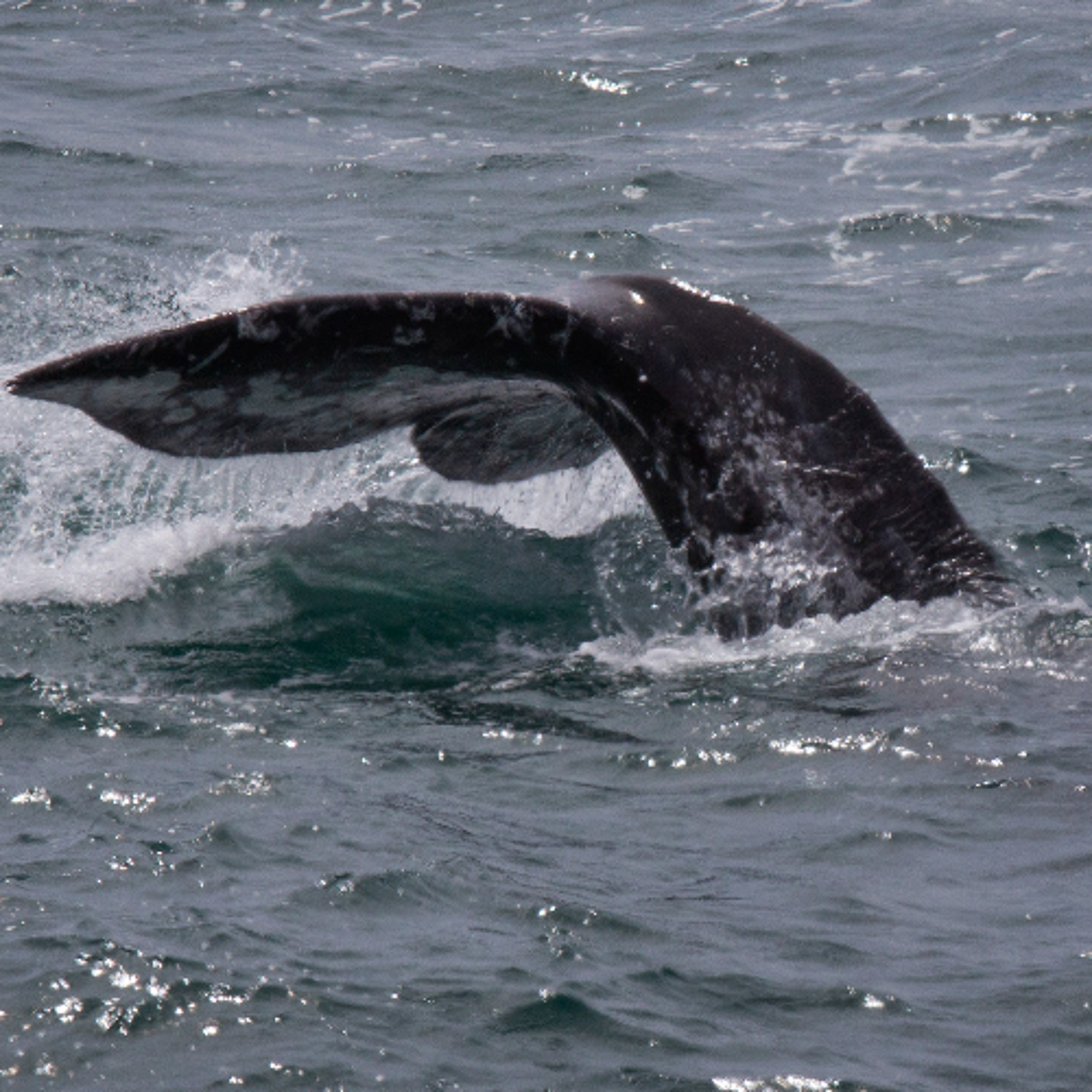 Explore Oregon Podcast: The state\'s most beautiful places and biggest issues