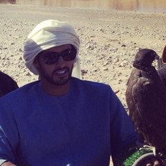 zayed bin hamdan