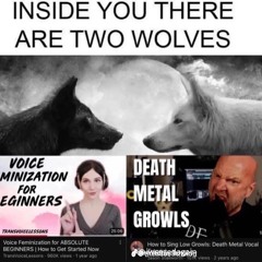 inside you there are two wolves, they are both boys, they are kissing, you are a gay furry