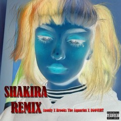 Brooks - SHAKIRA REMIX (feat. 1nonly, EGOVERT)