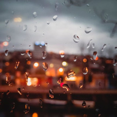 Kış Bahçeleri (Erva Sude Dağlı)