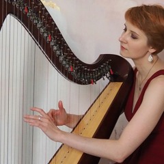 Ti ar boudiged (Sonerien Du harp cover)