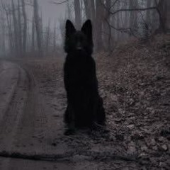 to love you - June Henry