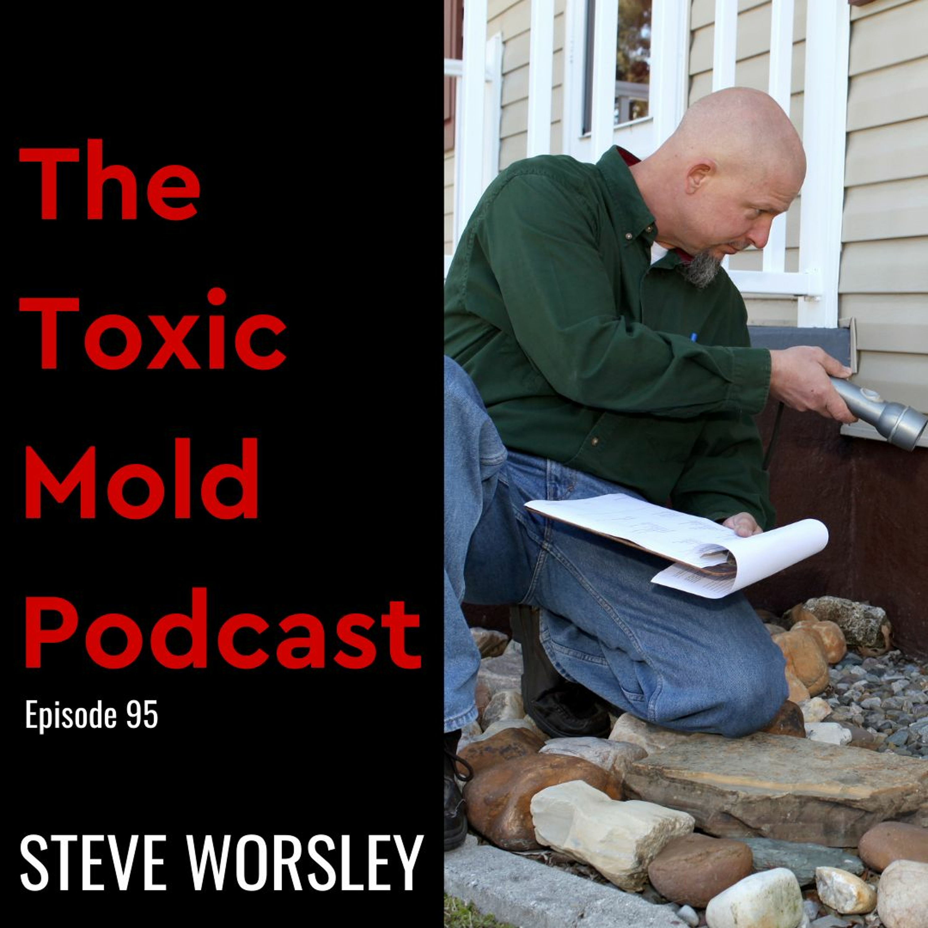 The Toxic Mold Podcast