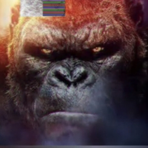 #ActiveGang Suspect - King Kong