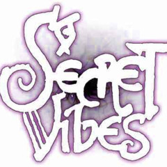 ELF CONTROL Secret Vibes Remix 291224 _ Ldb & Zatzak