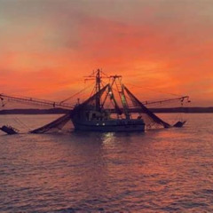 Review Special Price Hilton Head Shrimp Trawling Boat Cruise