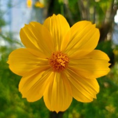 SoundSpectrum - Ether