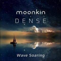 Moonkin & Dense - Intense Drift