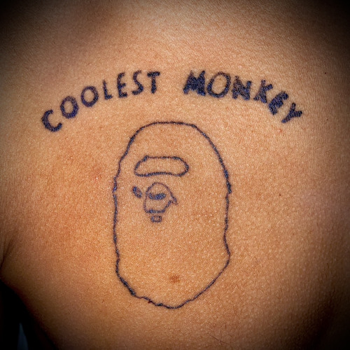 Polo65 - Coolest Monkey (prod. by ATP Beatz)