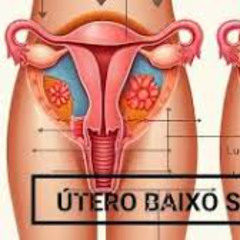 BOTANDO (útero baixo)- CAIO PRINCE, MUSAO MC LUANNA (REMIX DE 50 CENTAVOS)