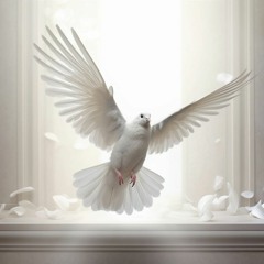 Neo-Opera Project Synphonia 2015 - Wonderland