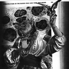 ††ℭ𝔞𝔦𝔩𝔩𝔢𝔞𝔠𝔥 𝔅𝔥𝔢𝔲𝔯††ℨ𝔦𝔬𝔭𝔭𝔬𝔯𝔞