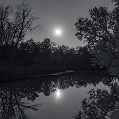 Midnight’s Calling.mp3