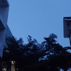 Cầu vòng khuyết lofi