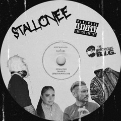 Don't Wanna Go x Nasty Girl (Stallonee Mashup) [Free DL] *pitched due to copyright*
