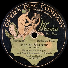 Øivind Aasekjær - For de saarede