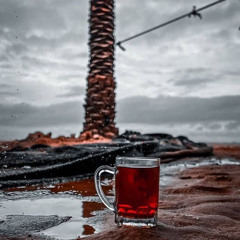 قبل وضع تصور الإصلاح ( نصيحة للعاملين للدين ) | د. أحمد سيف الإسلام