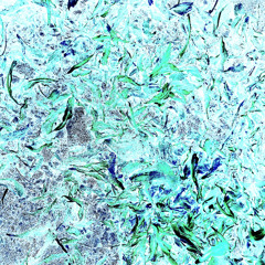 Petals Mix II