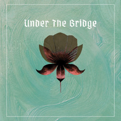 UNDER THE BRIDGE - (A RED HOT CHILI PEPPERS COVER)