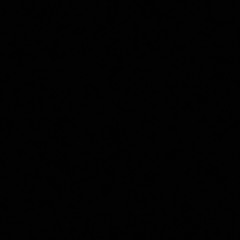 2 4 2 -YUNGLEGEND561 ft nunlessden223 (FAST)