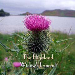 The Highland Widow's Lament
