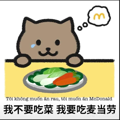 Nếu Ánh Trăng Không Đến (Thazh x Đông Remix) - Nguyen Trong Nghia