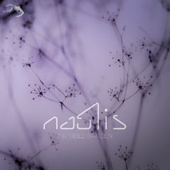 Nautis - Invisible Garden 🔹🔷🔹 2025 Album, Mindspring Music