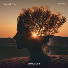 Talliekin - The Fool (Preview) [Amulanga]