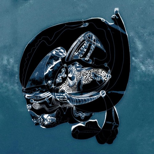 macroorganism