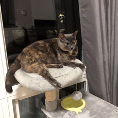 Breathless (feat. BeatsbyAiden)