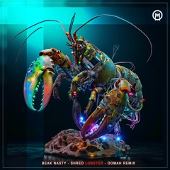 Beak Nasty - Shred Lobster (Oomah Remix)