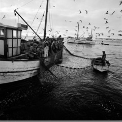 An updated Childhood Memory With Peter, David D & Seagull