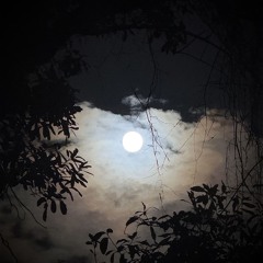 Fullmoon ⁽ᵈᵉᵐᵒ⁾
