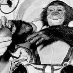 정찬성도 날 두려워해