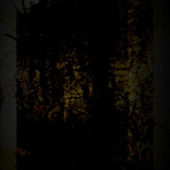 02 Dec - Lifetime Decay