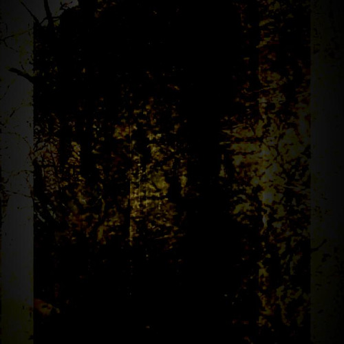 02 Dec - Lifetime Decay