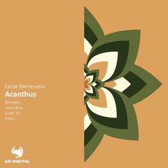 Cesar Herresuelo - Acanthus (Original Mix)