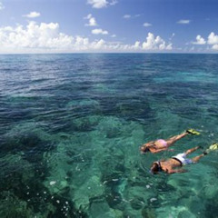 Best Place To Snorkel In Key Largo Prices Reviews